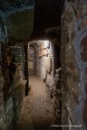 Immagine di Bere dalla sorgente: un ritorno alle origini della Fede - Catacombe S. Felicita - 16